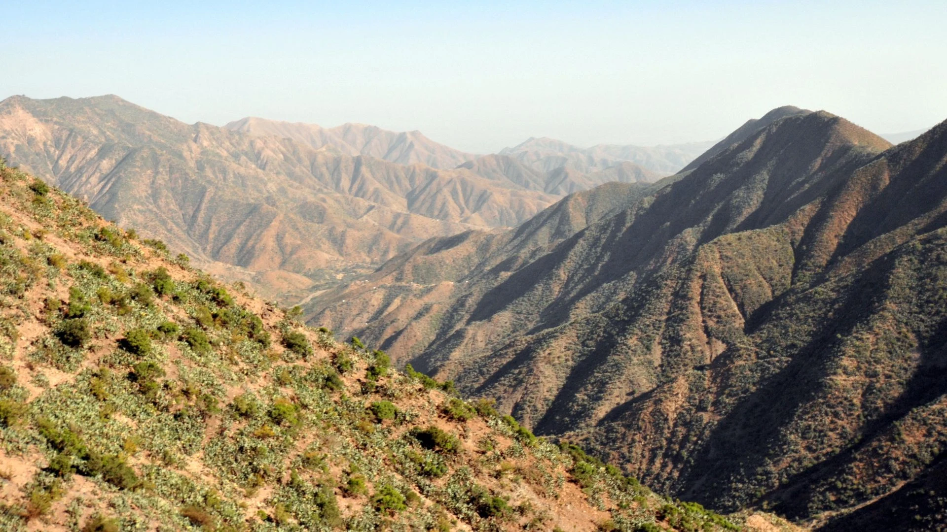 Eritrea e le celebrazioni del Timkat